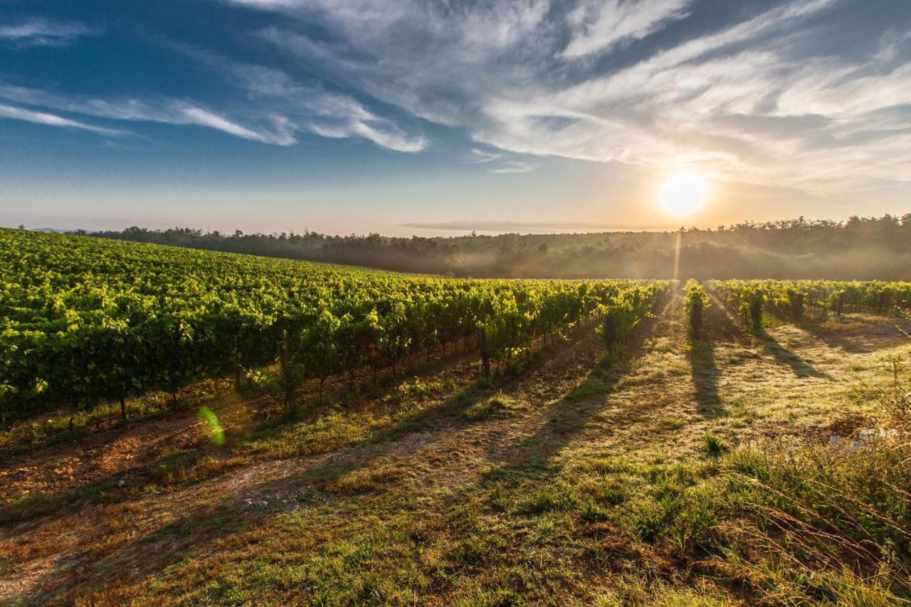 Il Palco Montepulciano, Vista Incredibile, 150Mt Da Piazza Grande Appartement Buitenkant foto
